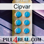 Cipvar new09